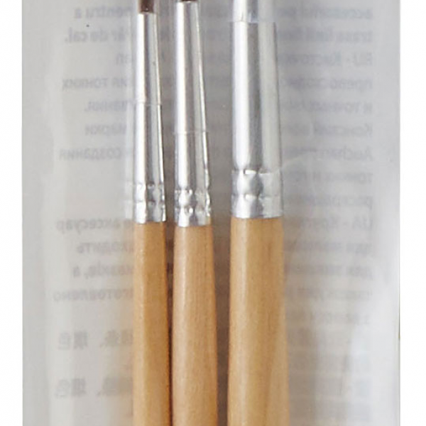 Набор кисточек деревянных 3 шт ТМ Ашан Красная птица