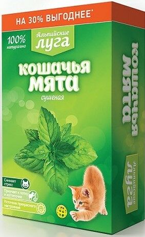 Альпийские луга кошачья мята сушеная