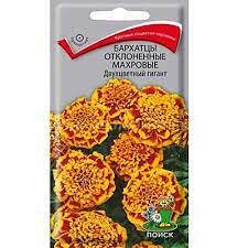 Бархатцы откл махровые Двухцветныйгигант (ЦВ) 0,4г