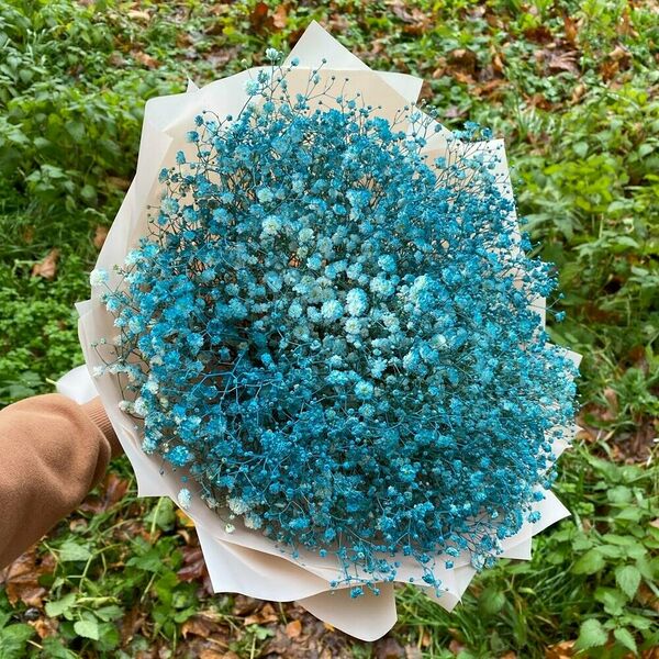 Букет синей гипсофилы