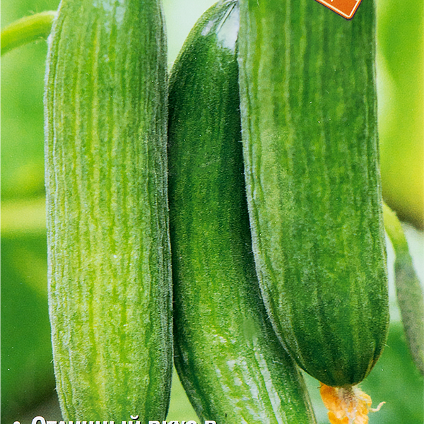 Семена ПОИСК Авторские сорта и гибриды, Огурец Веер F1, 12шт