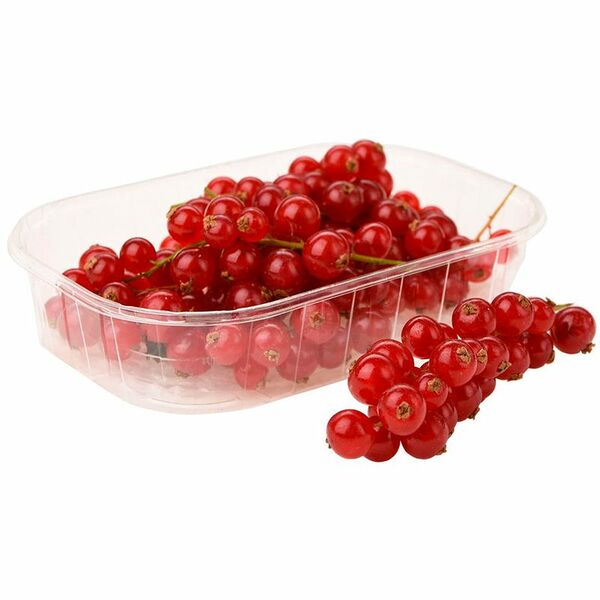 Смородина красная