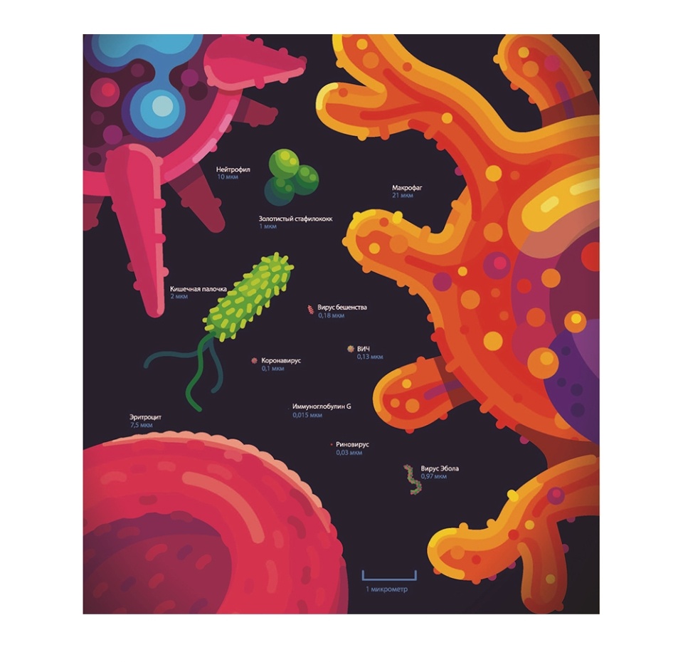 

Книга «Иммунитет» Деттмер Филипп, «Портал», Россия