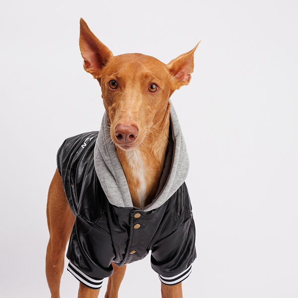 Куртка из кожзама с капюшоном для собак, 4XL, черная