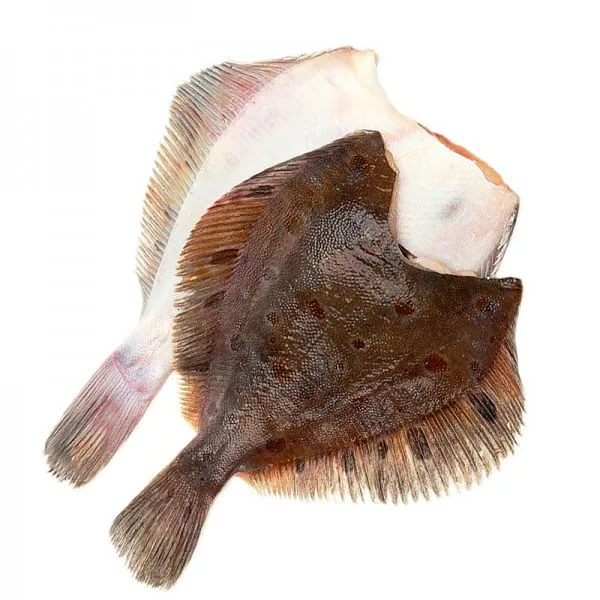 Камбала икряная без головы