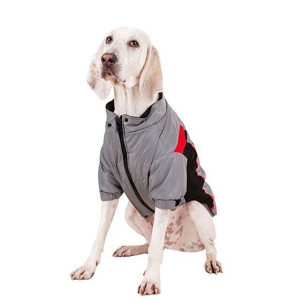 Куртка на молнии для собак крупных пород Карликовый пинчер, Джек Рассел, Бигль 51x72x47см 4XL серый (унисекс)