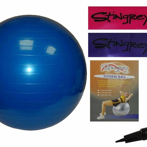 Мяч для аэробики с насосом ТМ Stingrey (Стрингрей)