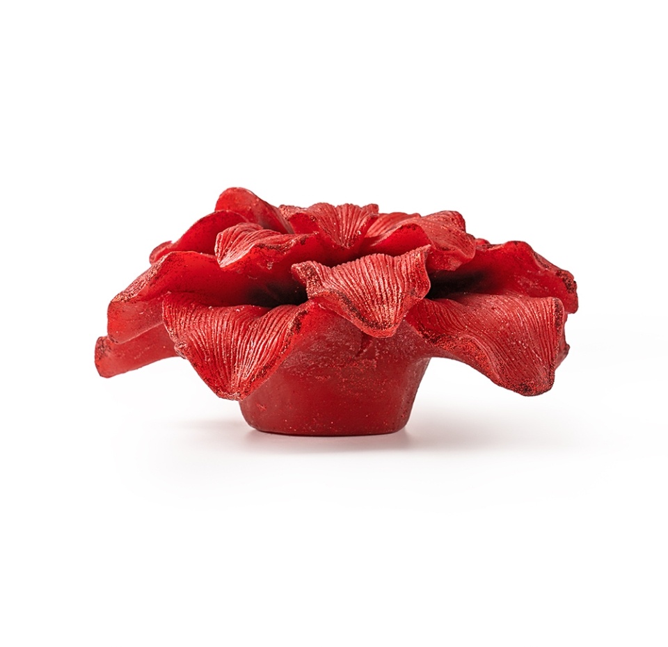 

Свеча фигурная Future International Пуансеттия красная парафин 18 см