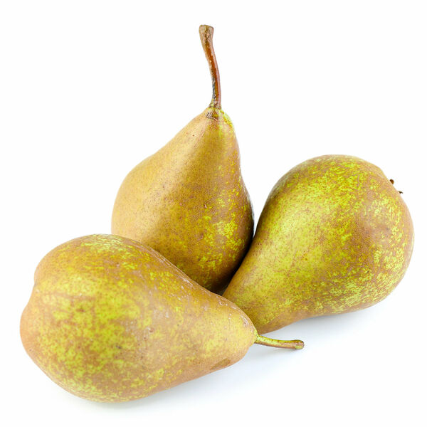 Груши Конференц Ливан вес