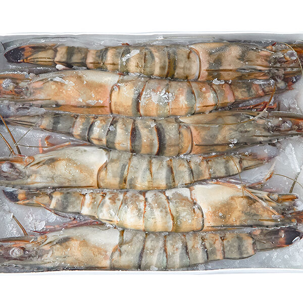 Тигровые креветки с/м  4/6