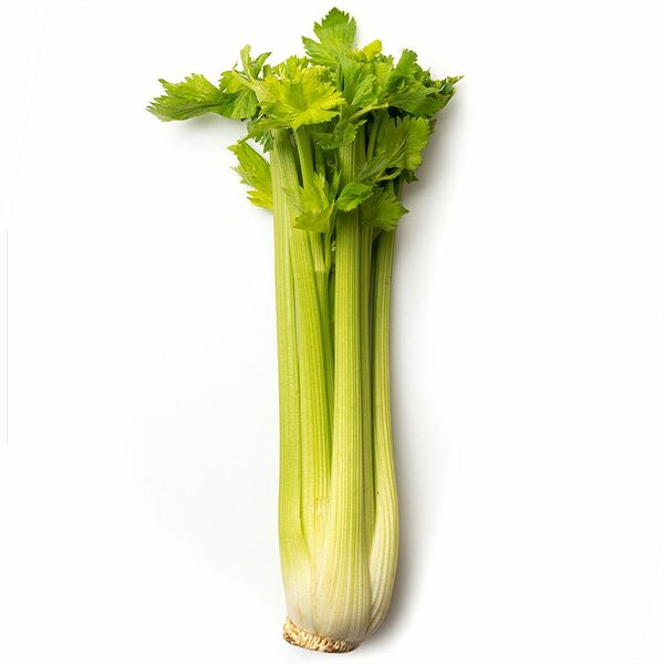 Сельдерей черешковый 1 шт