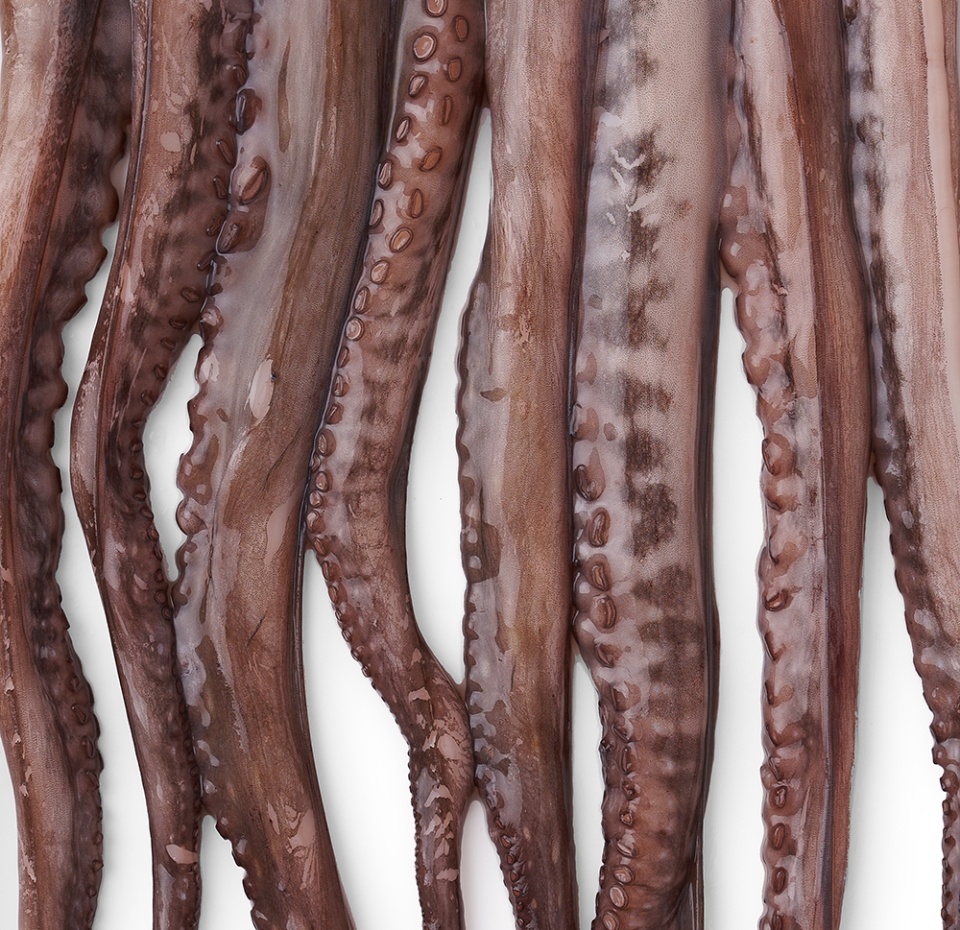 

Осьминог охлажденный, вес