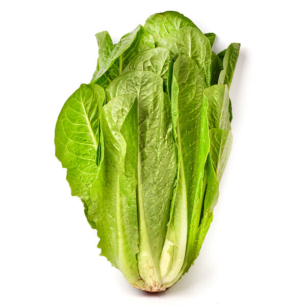 Салат Романо