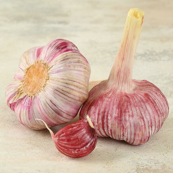 Чеснок молодой