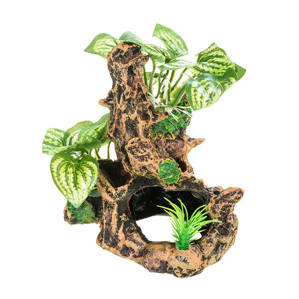 Коряшка 9*8*13см