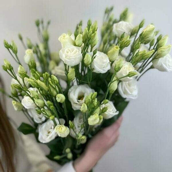 Букет из белой эустомы