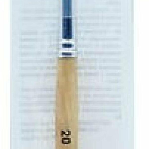 Кисть Ашан Красная птица пони, 20