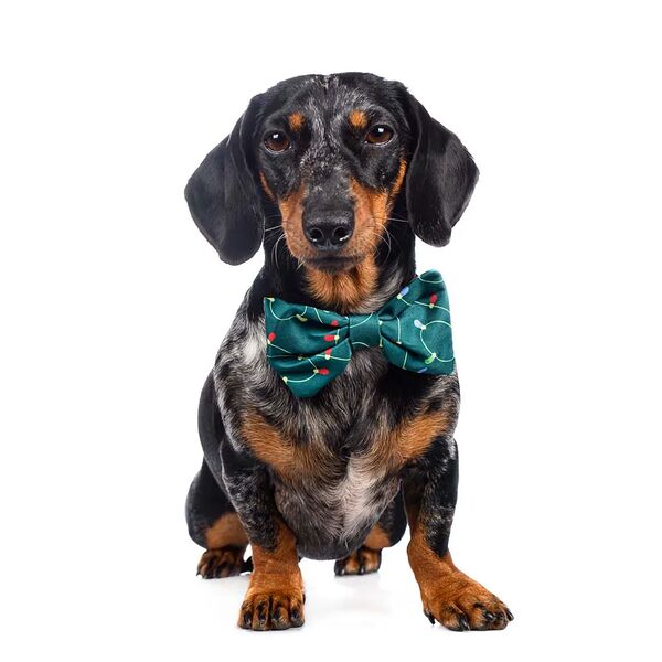 Галстук-бант для собак зеленый светящийся Led