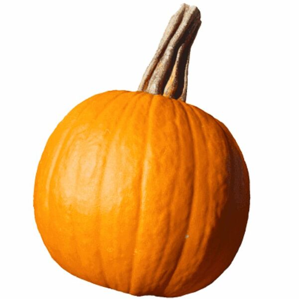 Тыква мини вес