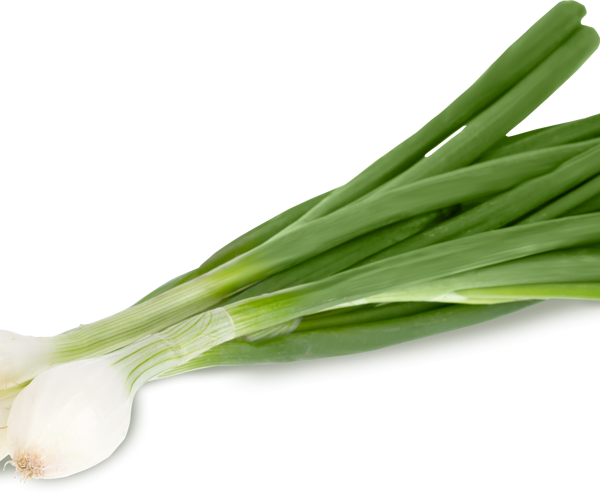 Лук зеленый с луковицей