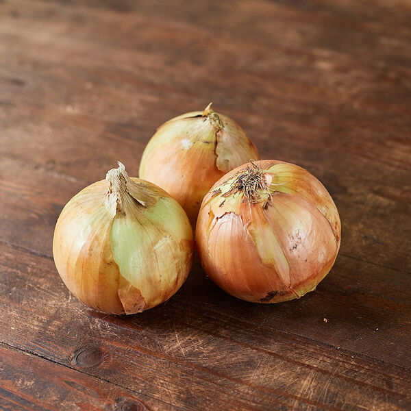 Лук Репчатый