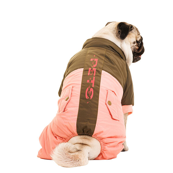 Комбинезон для собак, M, зеленый (унисекс)