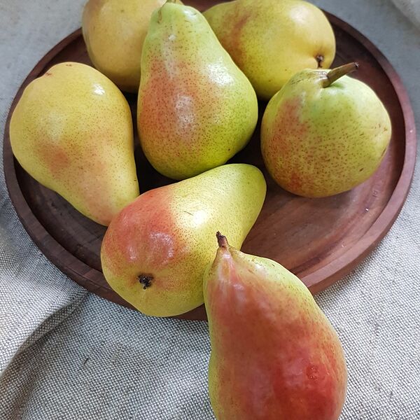 Груша Фарелл (Danilovskymarket)