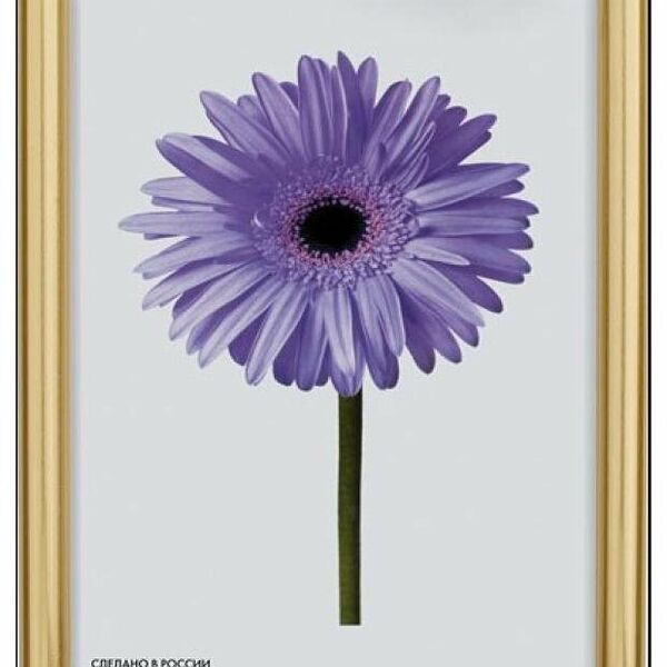 Фоторамка Maria (Мария) Медный, 10х15 см ТМ Метрика