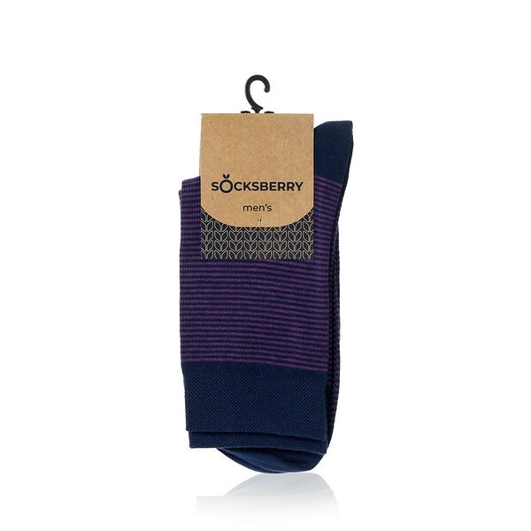 Мужские носки Socksberry Men's ВК-21 Классические, р.27