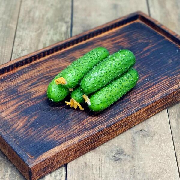 Огурцы Кураж