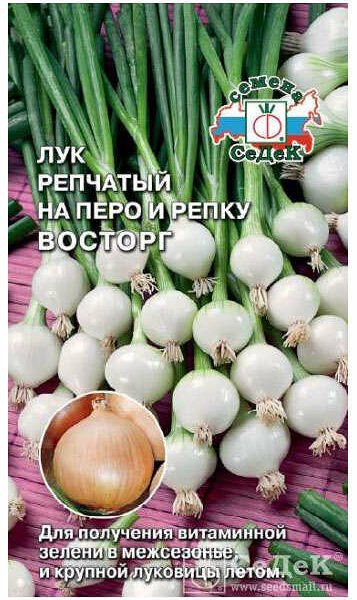 Семена Лук Восторг ТМ СеДеК