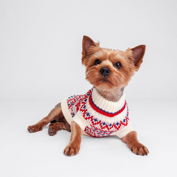 Свитер для собак, 20 см, бело-красные узоры