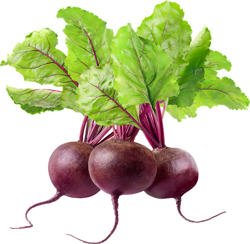 

Свекла молодая с ботвой Фруктовая лавка вес