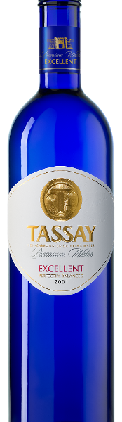 Вода Tassay Excellent минеральная негазированная,