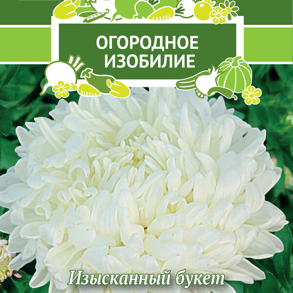 Цветы астра пионовидная голубка белая 0.3 г огородное изобилие 816948