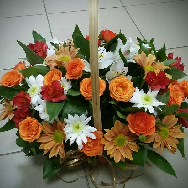 Яркие краски