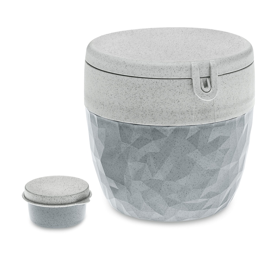 

Ланч-бокс Koziol Club Bento Organic в ассортименте (контейнер для салата+соуса)