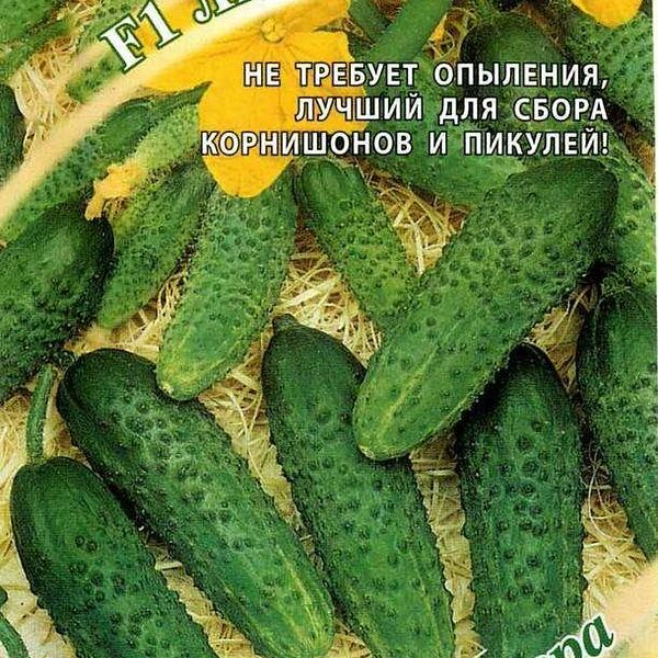 Семена Гавриш Огурец Лилипут 10 семян