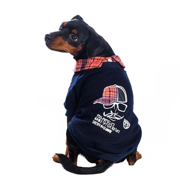 Толстовка для собак 2XL синий (унисекс)