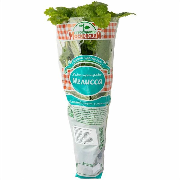 Мелисса в горшочке