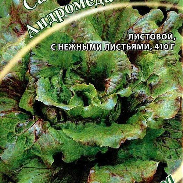 Семена Салат Андромеда ТМ Гавриш