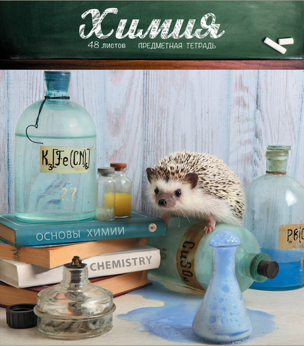 

Тетрадь ПЗБМ, 48 листов, в клетку