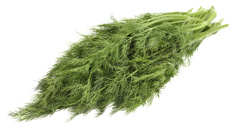 

Укроп свежий вес