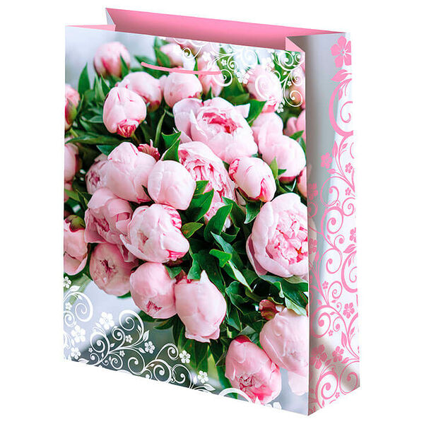 Пакет подарочный ламинированный 18*23 см микрос