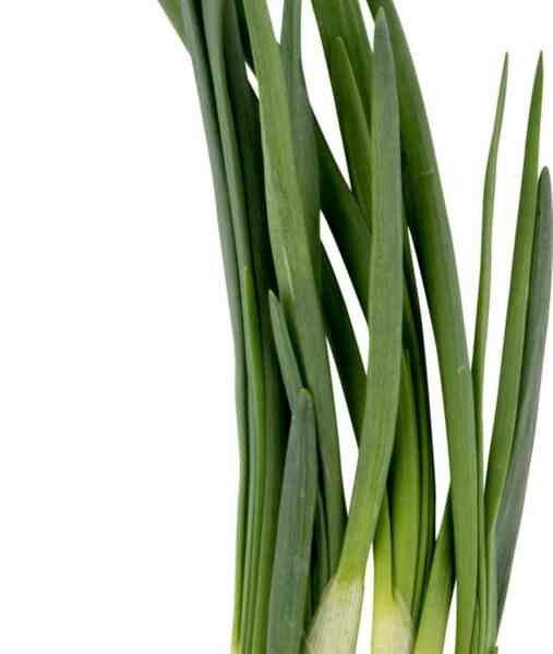 Лук зелёный ЛоКарно