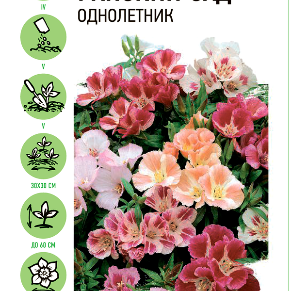 Семена Годеция Удачные семена Райский сад 0,1 г