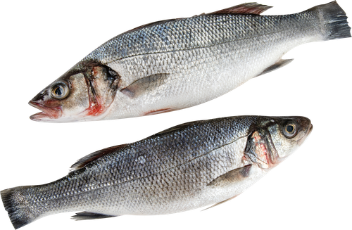 

Сибас Моремания непотрошенная с/г охл. вес до 500г