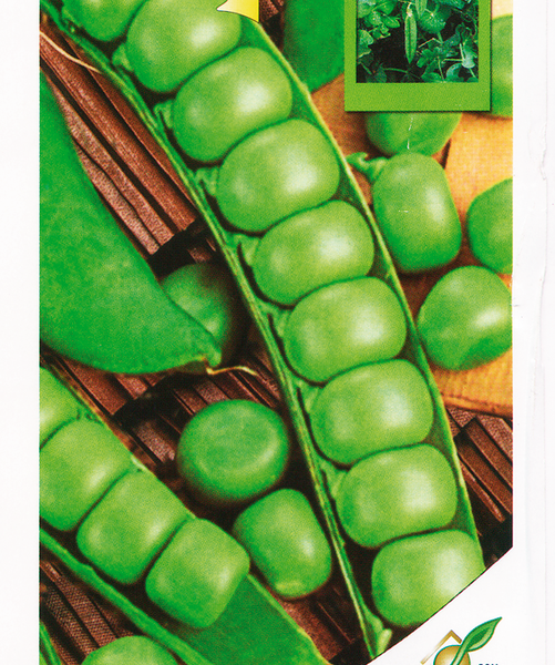 Семена SATIMEX Горох Динго