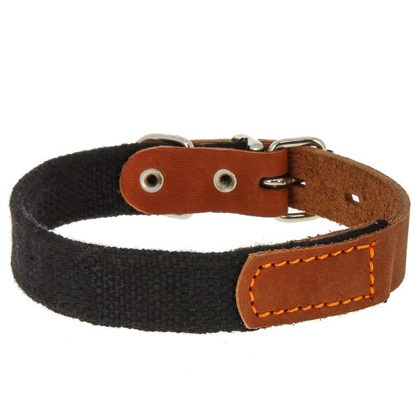 Каскад ошейник брезентовый с кожей 55-64 см.