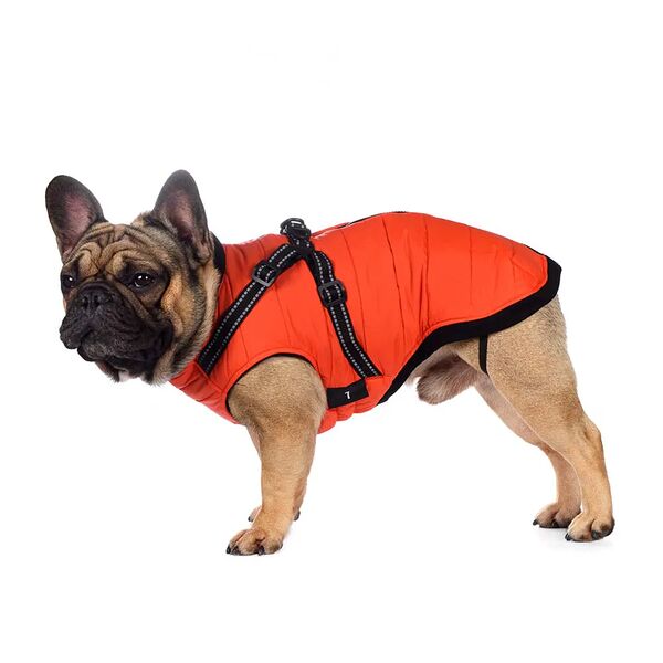 Попона теплая со шлейкой для собак мелких пород Французский бульдог XS оранжевый (унисекс)